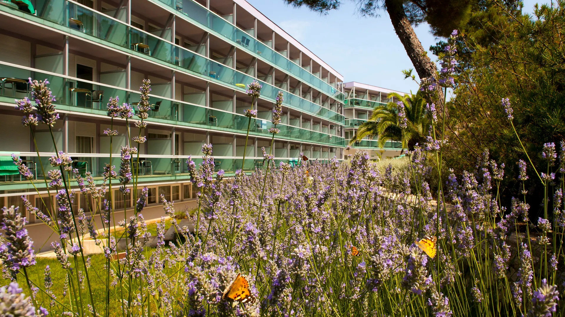 Hotel Aurora Mali Losinj